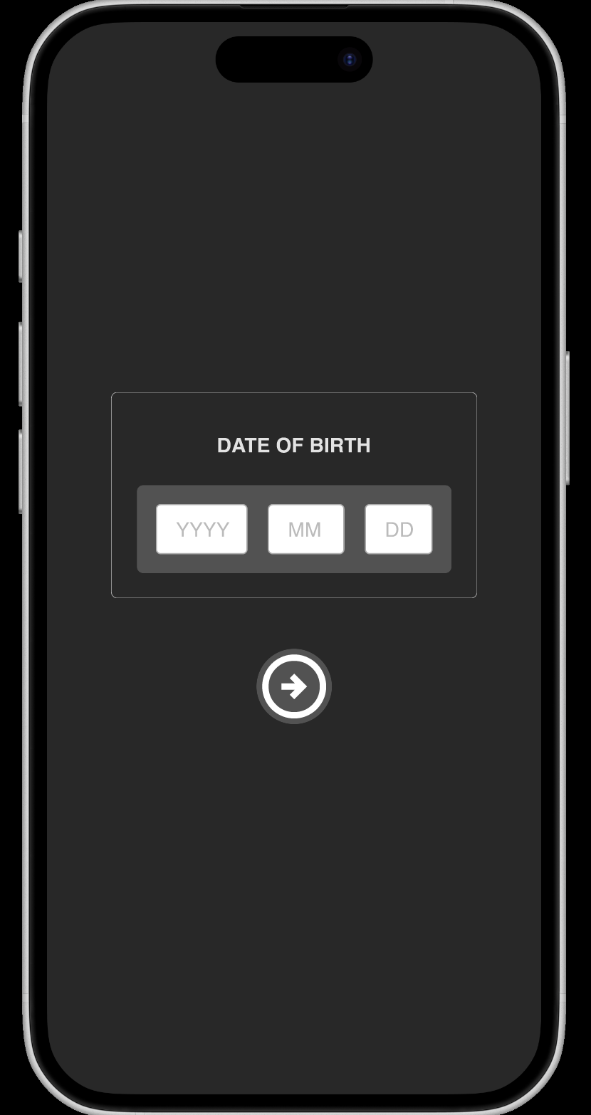 Date Input Screenshot 2
